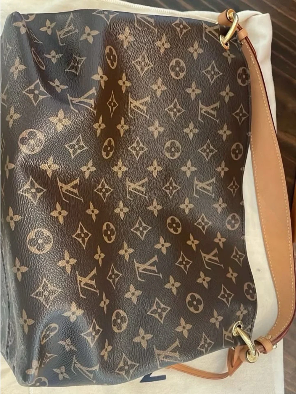 Louis Vuitton classic lv
